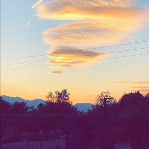 Meet your Posher, Shonn